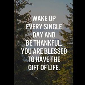 Meet your Posher, Jane